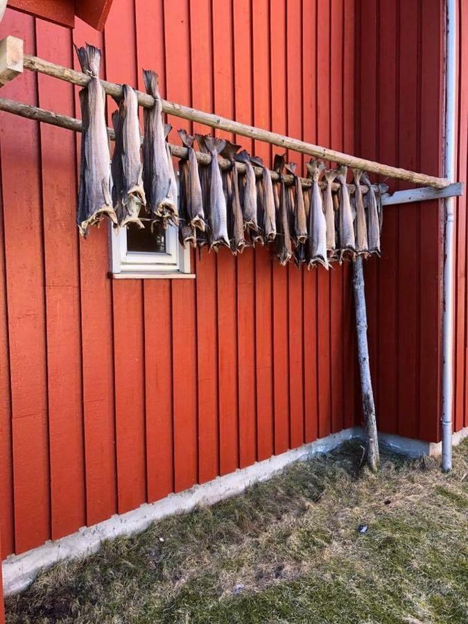 Ballstad Brygge Rorbu المظهر الخارجي الصورة